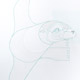 Seal (Turning)